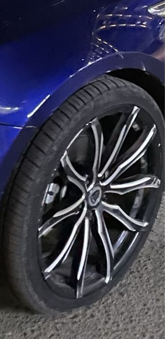 Диска с ризиной