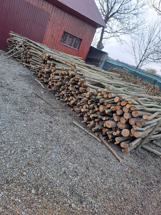 Vând lemne de esență tărie lozie