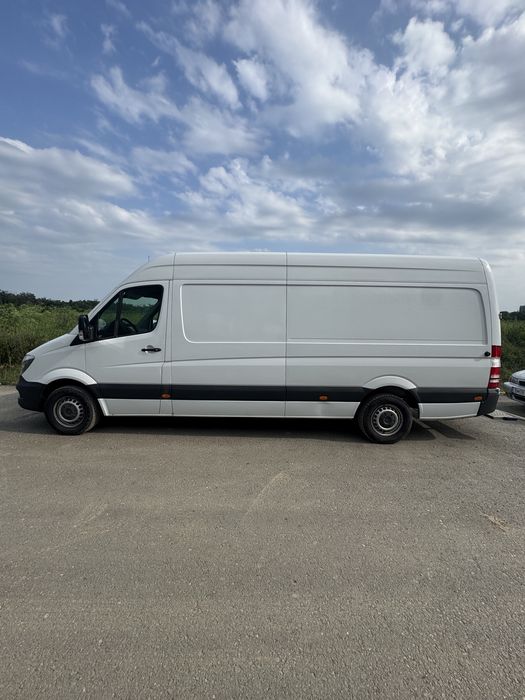 Mutări | Transport mobilă | Produse pentru firme