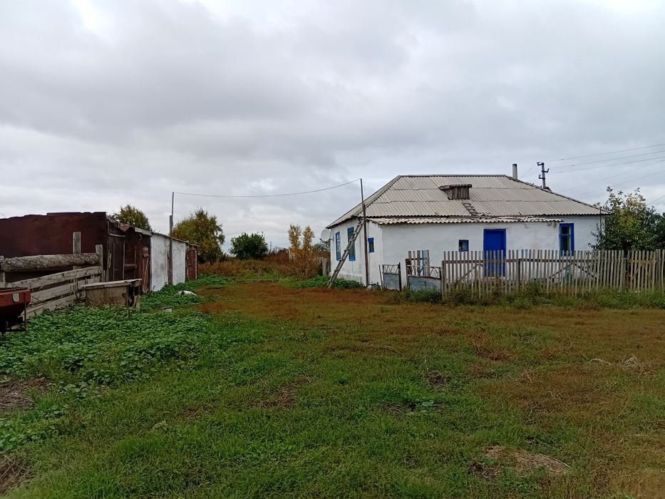 Продам дом. село Новый Колутон