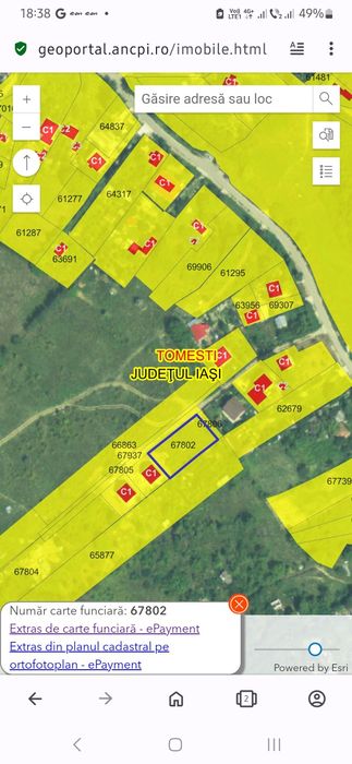 Teren intravilan vladiceni