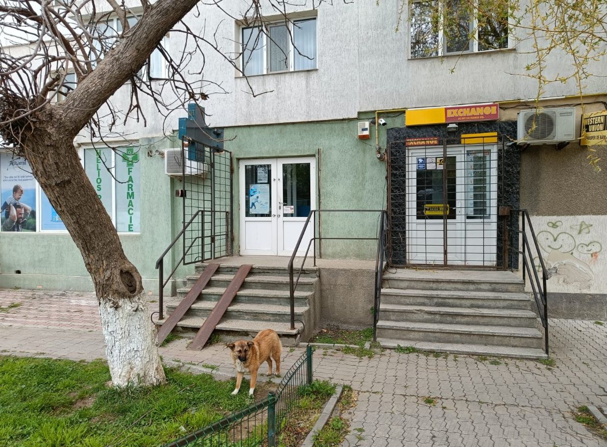 Spatiu comercial Tandarei
