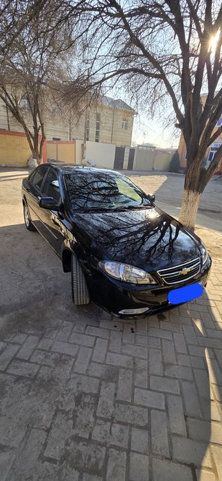 Гентра кора ранг 2023