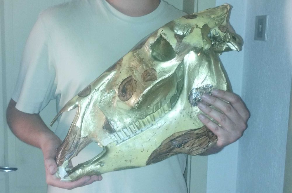 Етично изкуство върху кости