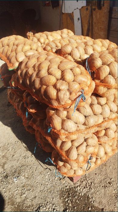 Cartofi alb(60+) sí rosu(60+)