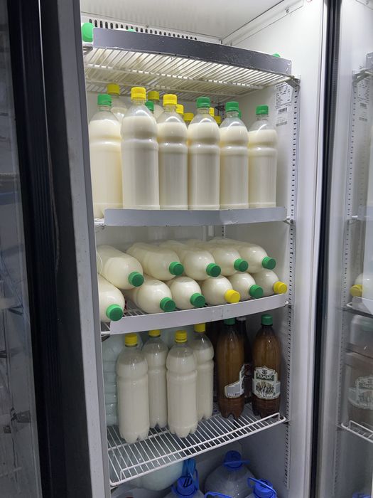 Кымыз шубат молочный продукция
