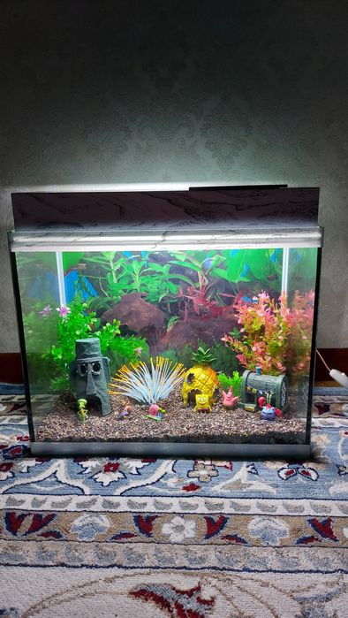 Готовые аквариумы под ключ