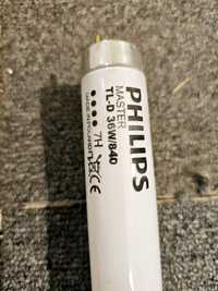 100бр !!! Луминесцентна тръба/пура Philips 36W, 1200mm,студена светлин