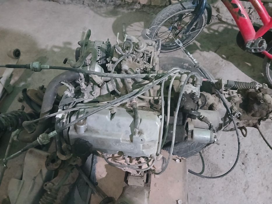 Damas divikatil karopka