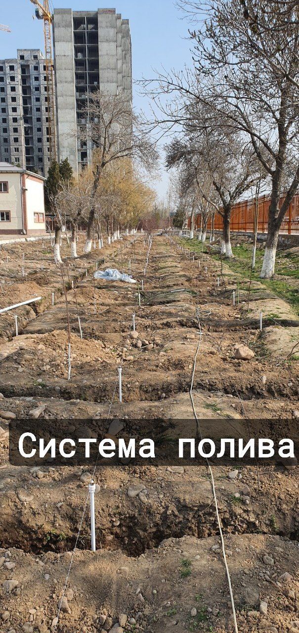 Сантехнические услуги, качественно и недорого!