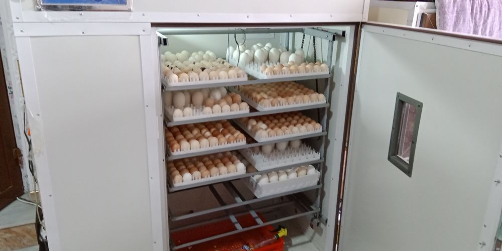 Продам Инкубатор 1056 талик