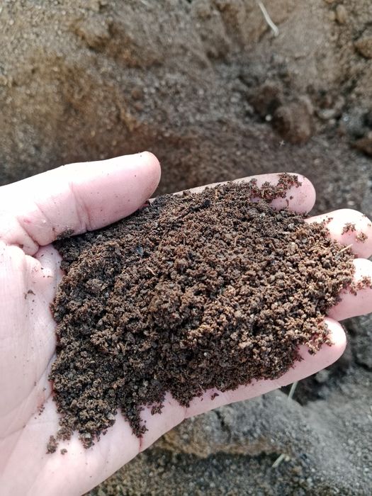 Biogomus kafolati 100%