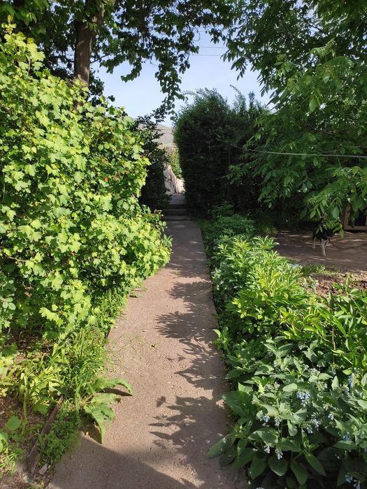 Уй участкаси билан сотилади.