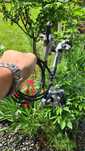 Set frane XTR BR-M 985