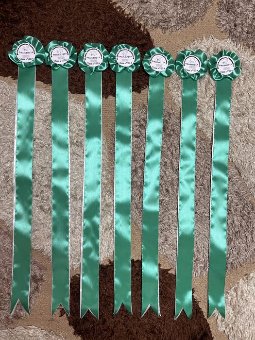 Panglici/ cocarde clasa a 4 a si a 8 a