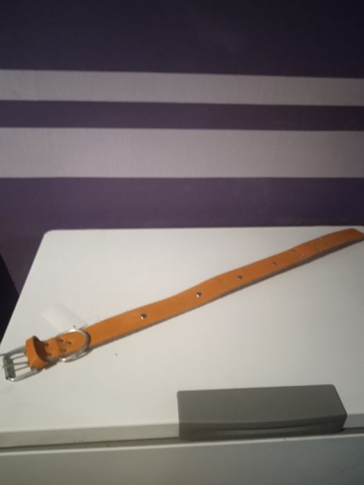 Продам ошейник новый