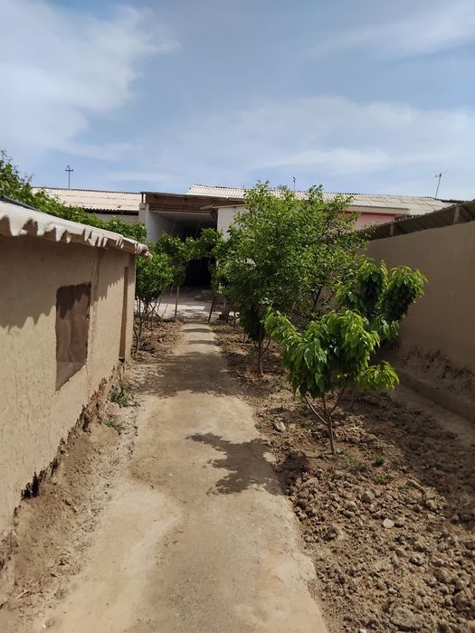 Navoida xovli sotiladi