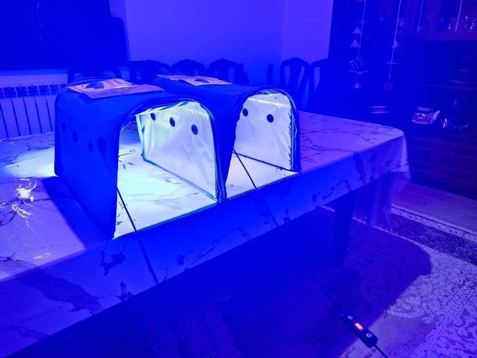 Фотолампа от желтухи, фирма "MAINING"