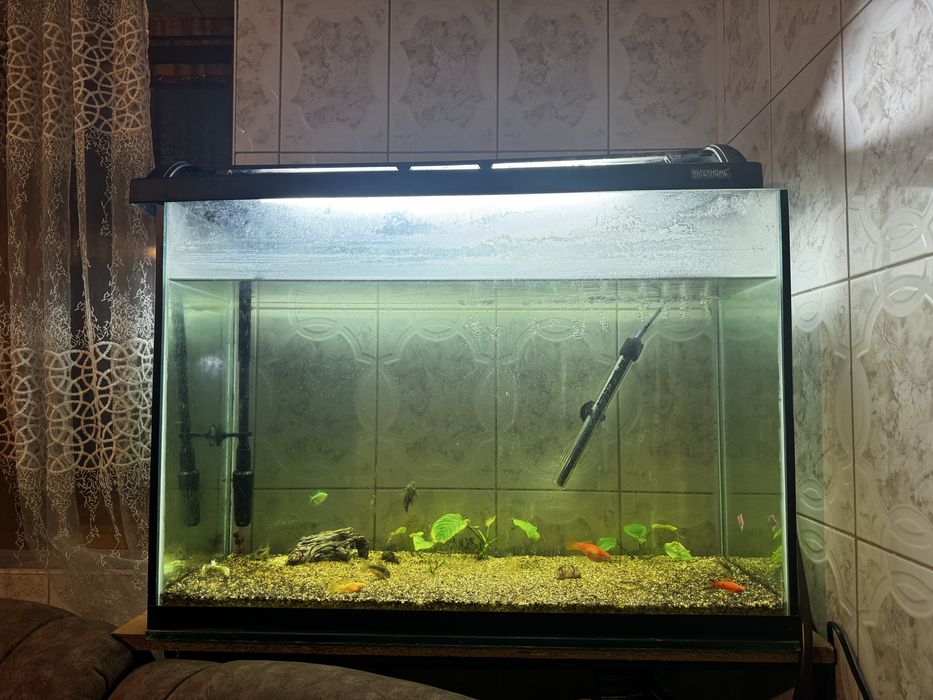 Acvariu 180l cu tot cu pompa si pesti
