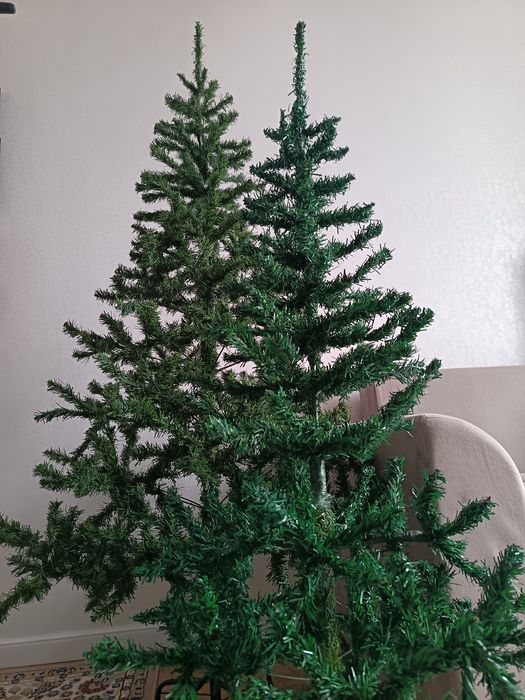 Шыршалар сатылады 2. Елки.