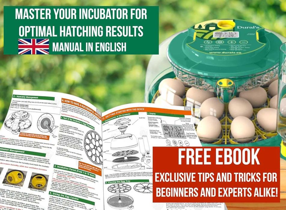 Incubator automat Dural DX5 pentru 18 oua cu control umiditate