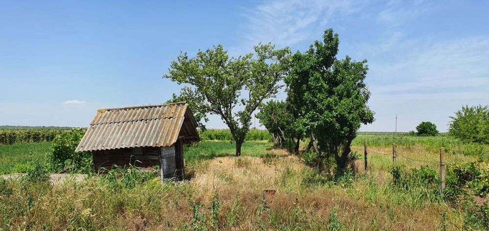 Teren intravilan 2300mp Sarulesti Sat Calarasi