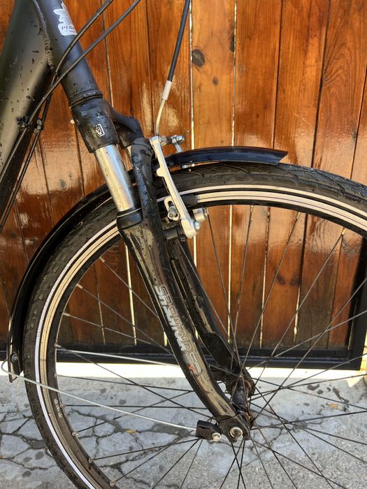 Bicicleta Pegasus Oras