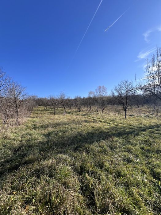 Teren de vânzare în Hunedoara