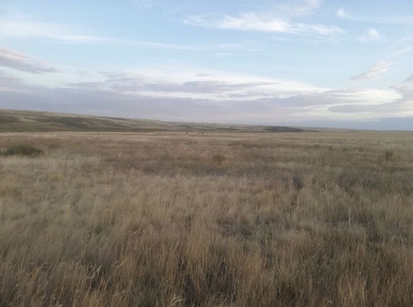 Продам землю 1000га