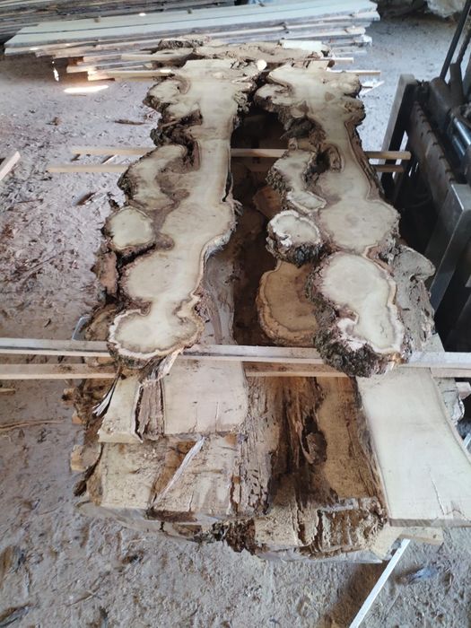 Blaturi pentru proiecte rășină