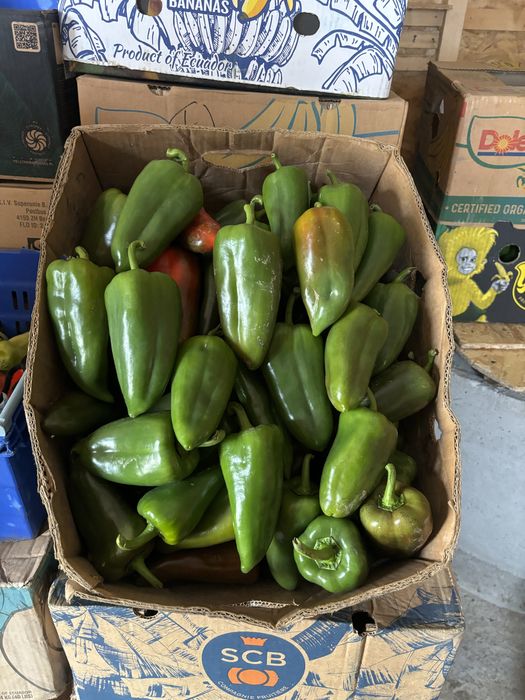 Ardei kapia si gogosar