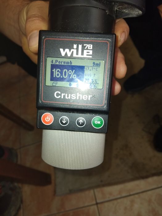 Vând porumb cu umiditate 16 %