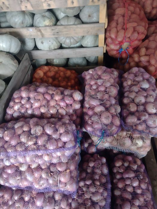 Ceapa roz plata dulce