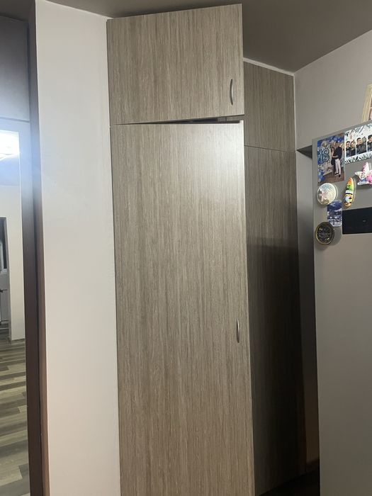 Usi din pal gri pentru debarale sau alte spatii