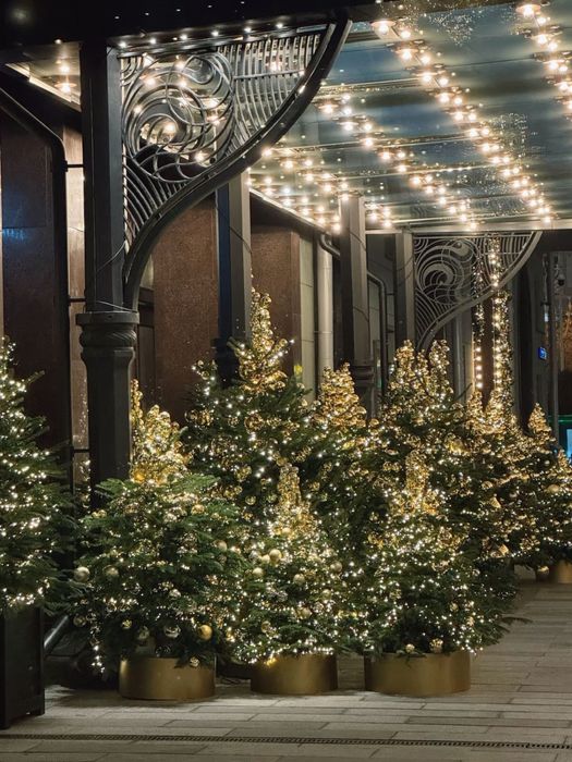 Новогоднее оформление, оформление елок