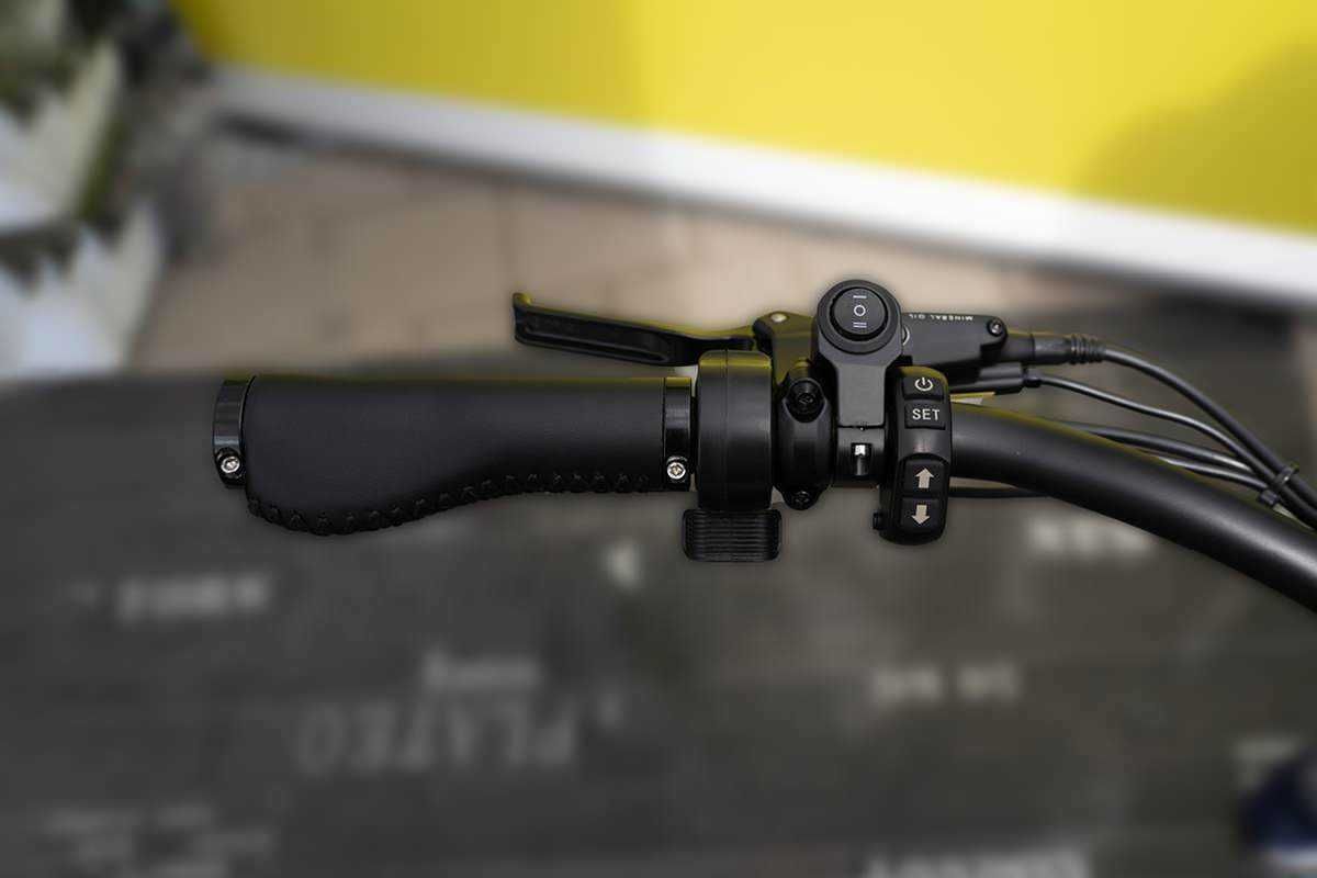Електрическо колело MC E-BIKE Max E-Coffee Cruiser
