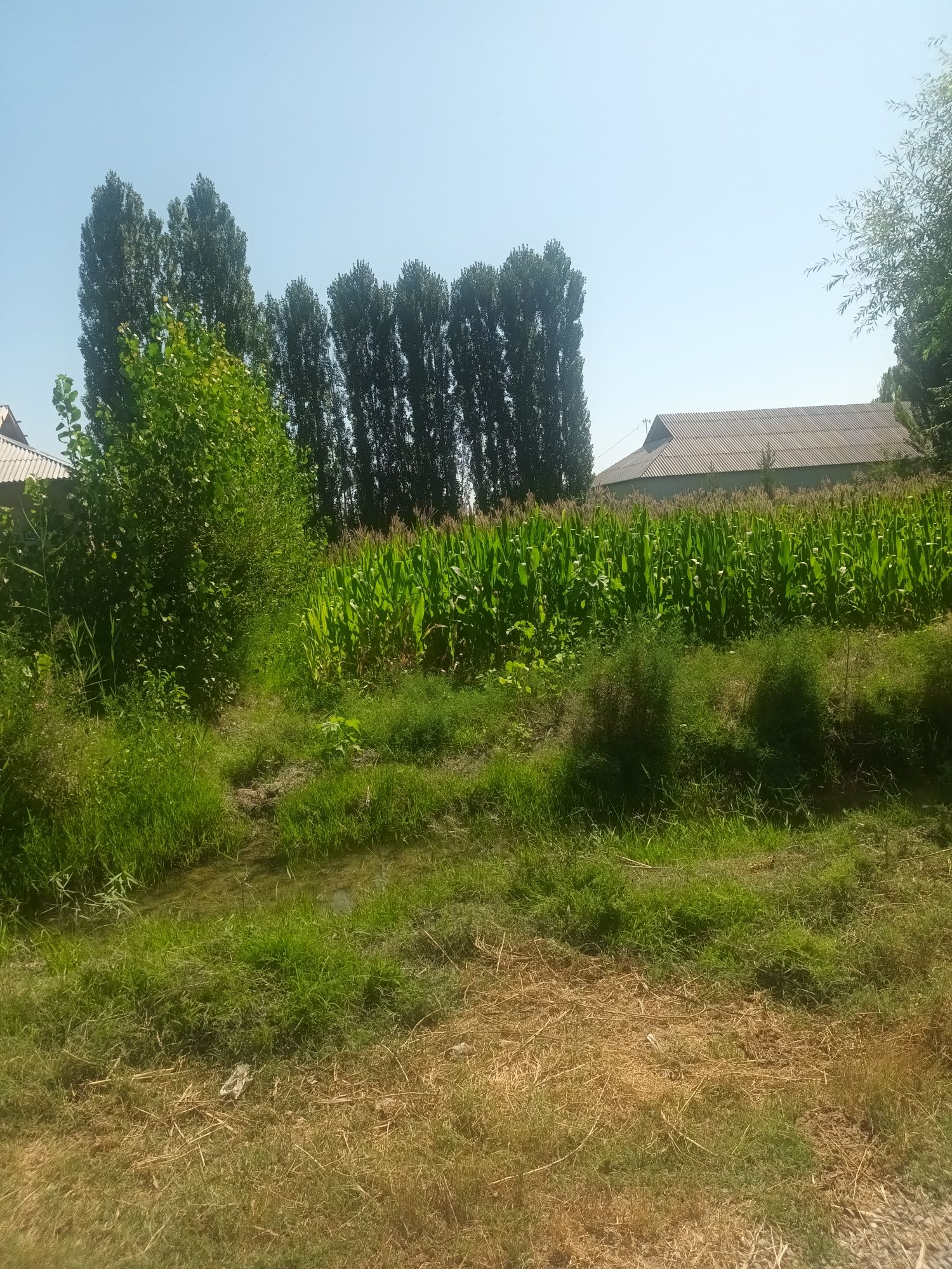 11 sotxli uchastka