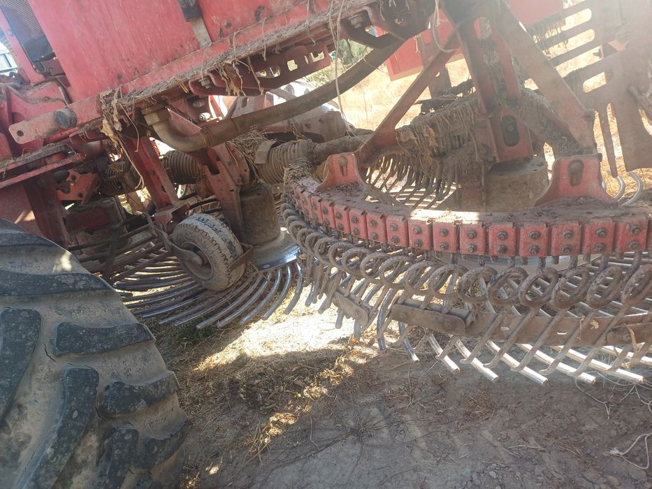 Grimme rootster604