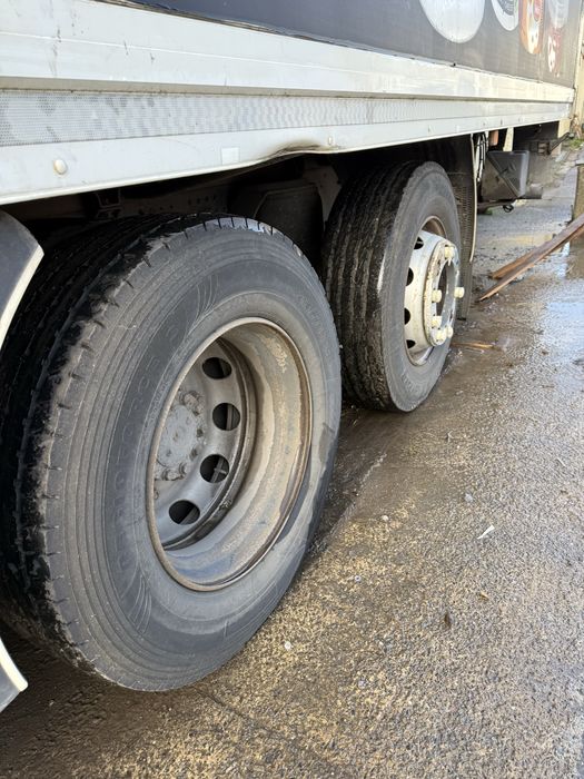 Man tgx an 2013 frigo 25 paleti