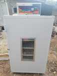 Incubator 352 oua gaina