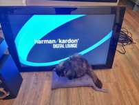 Телевизор 42 инча Harman Kardon намален