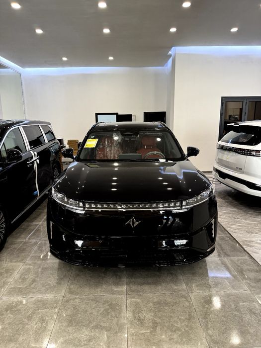 Dongfeng ep 008 gibrid