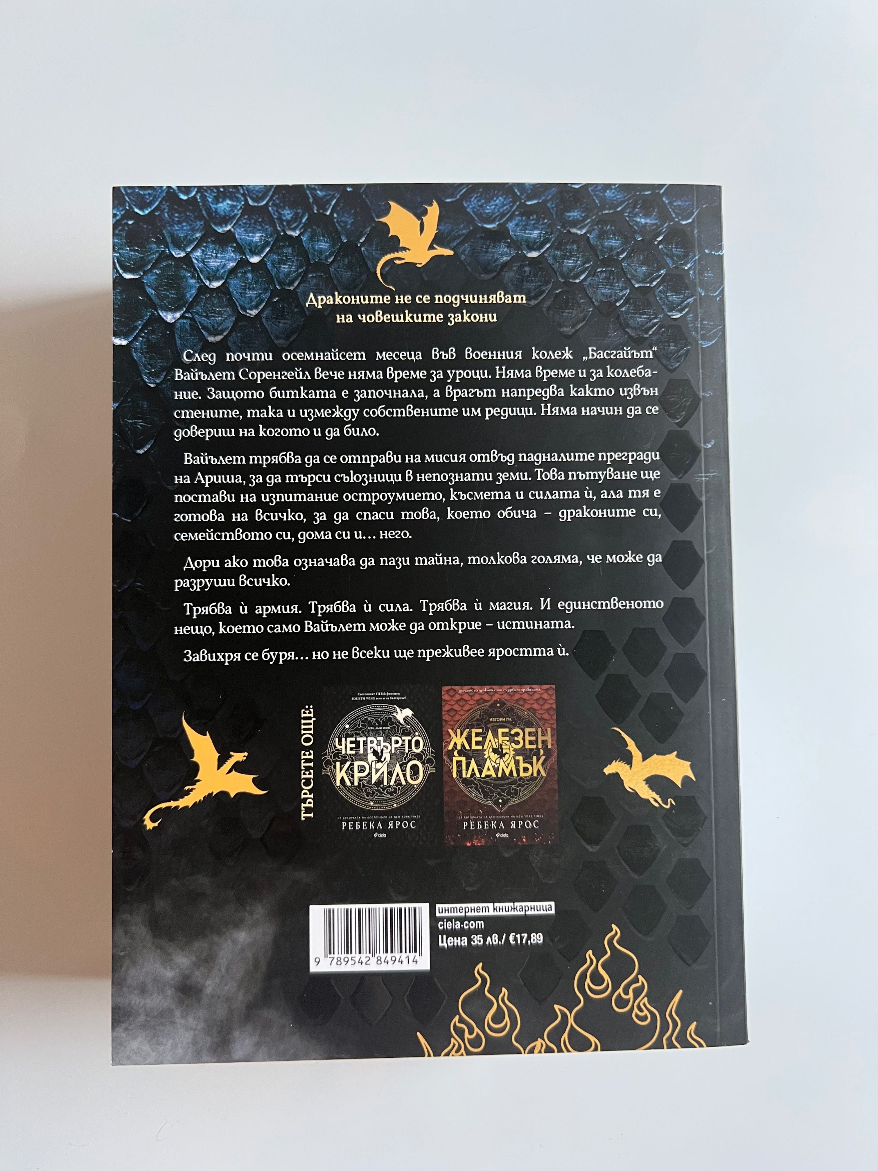 Буря от оникс книга
