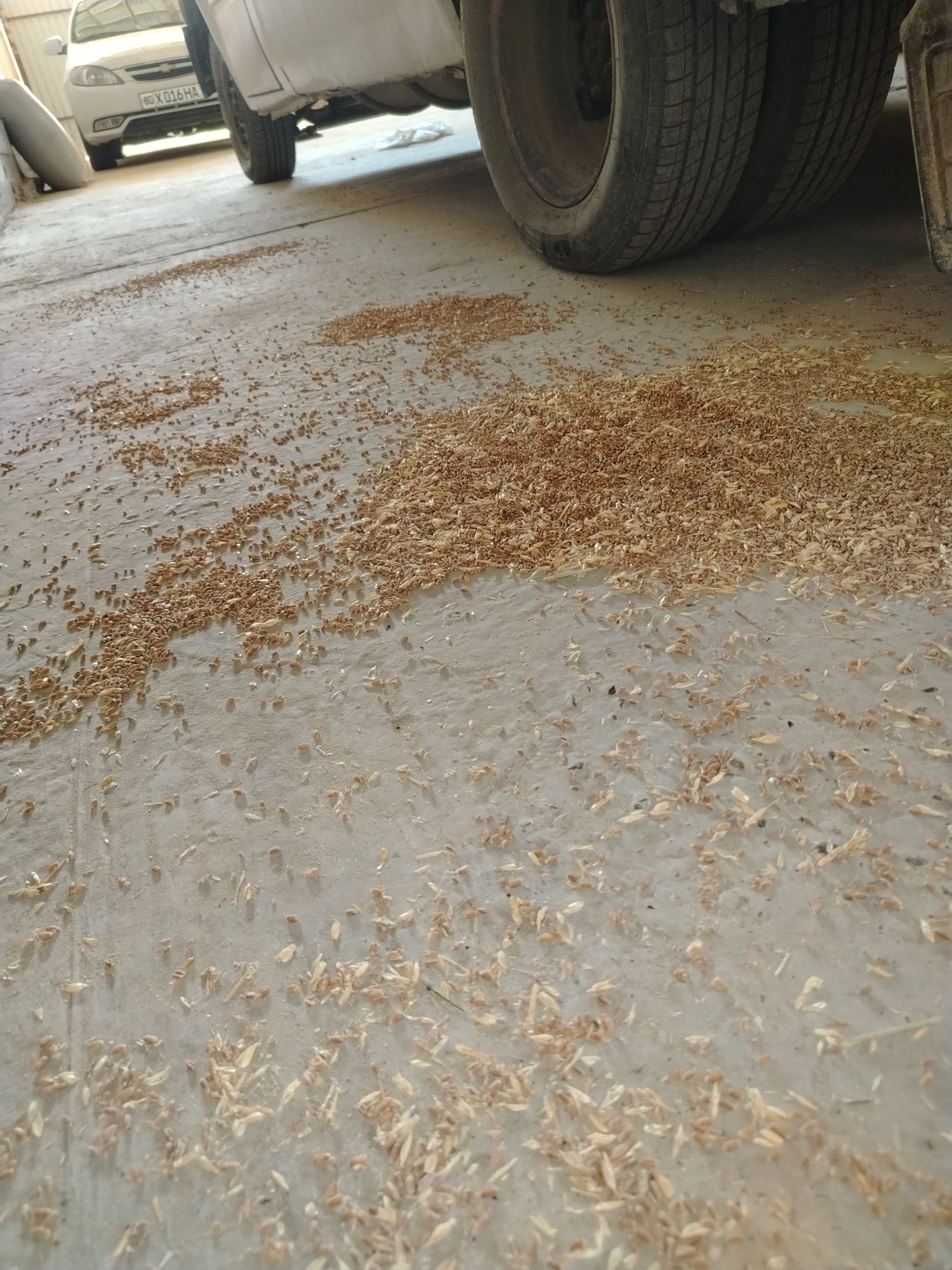 Ford tranzit soiladi tezda