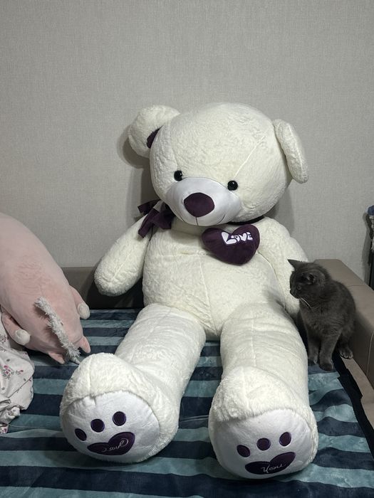 Мишка 2-х метровая