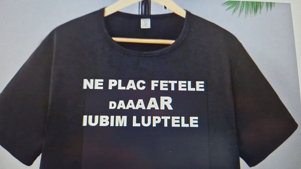 Imprimanta epson .sublimare pentru publicitate  cani tricouri steaguri