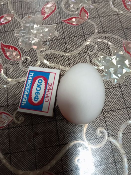 Яйцо куриное домашнее
