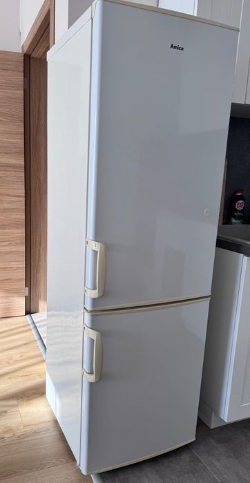 Свободностоящ Хладилник Amica