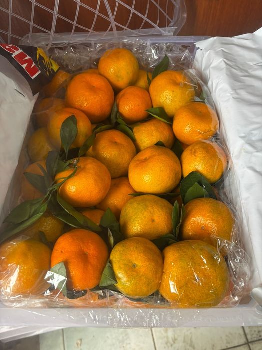Мандарин каробкасында 7-8 кг