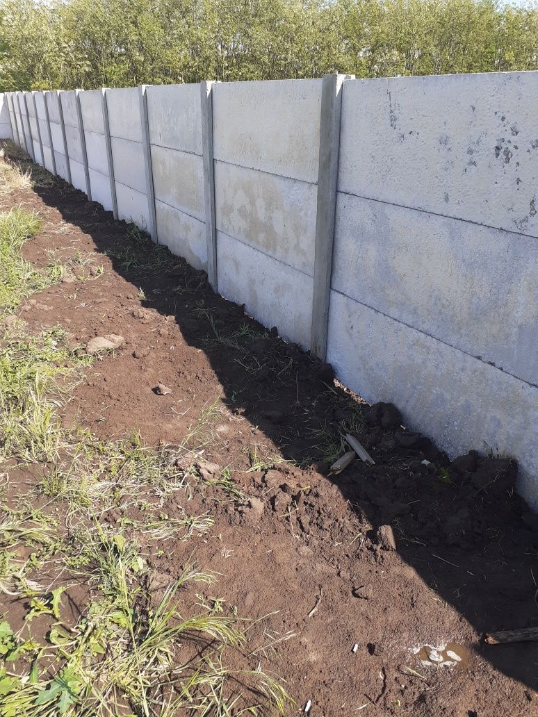 Vind gard beton cu modele si simplu